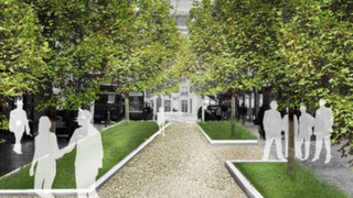 Madrid Bans Cars, Plans Plants
